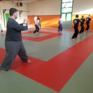 Exercice Tchang Tchileugui