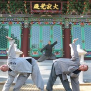 Conseil pour Seon Kikong