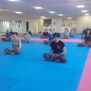 Retour sur la préparation des 2eme et 3eme Dan – 26 février 2017