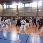 séminaire des arts martiaux coréens 2014 à Montpellier